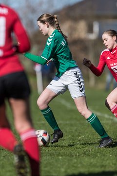 Bild 401 - F SG NieBar - IF Stjernen Flensborg : Ergebnis: 4:1
